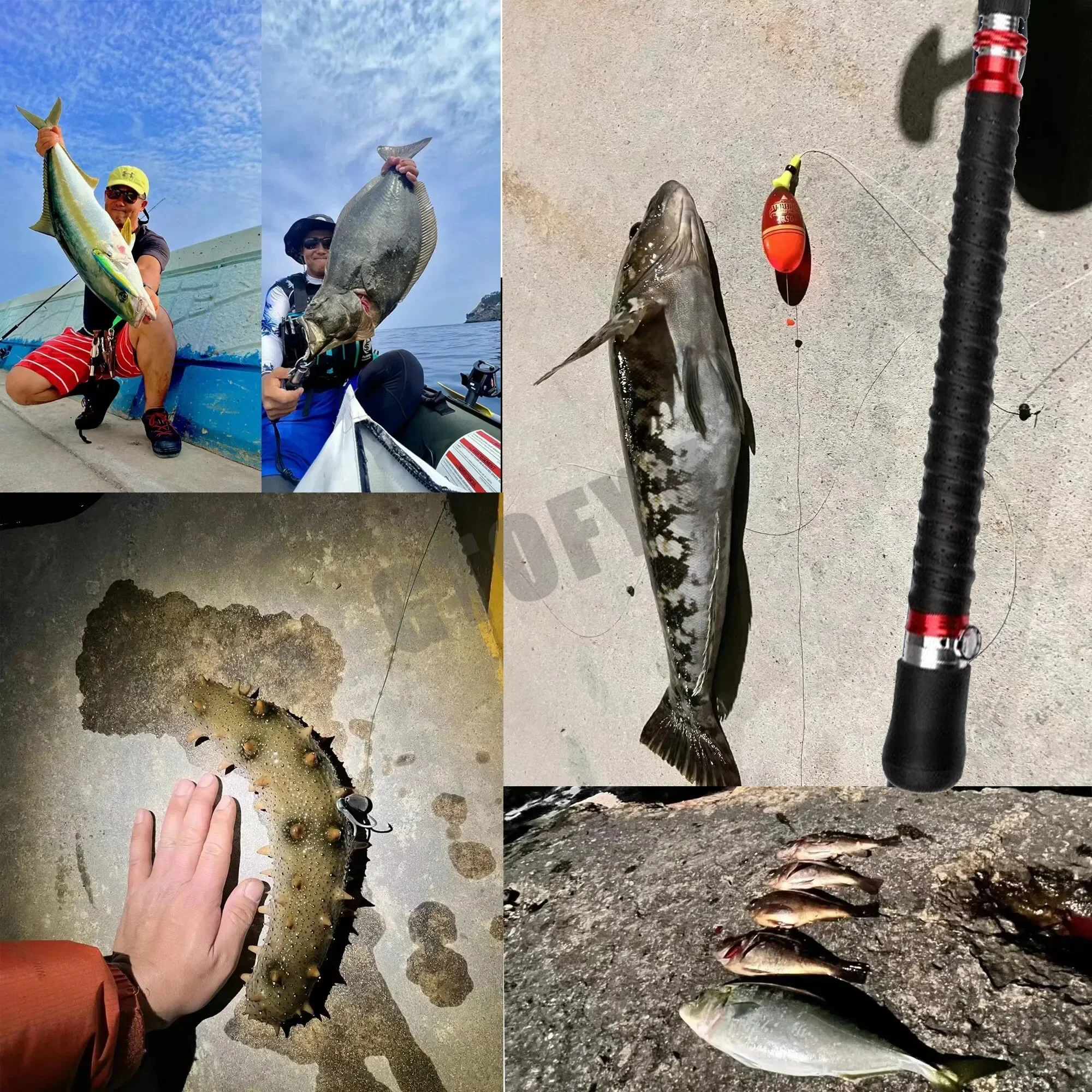 Telescopic Portable Fishing Bo - Fishing Rod Surf avis et prix