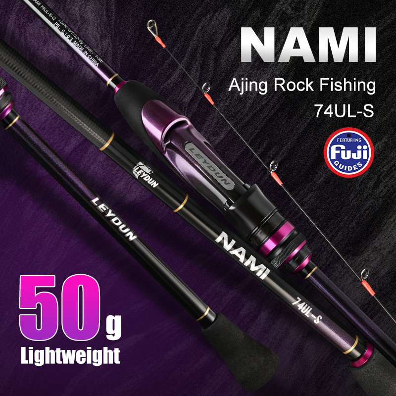 LEYDUN NAMI Ultralight Ajing R - Fishing Rod Guide Replacement avis et prix
